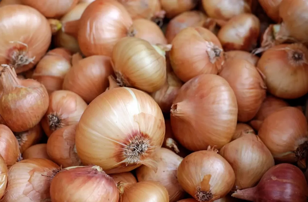 Onion Mandi Rate